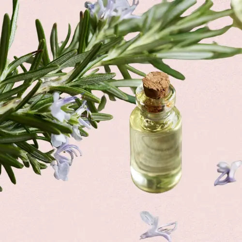 Passionate Valentine’s Night Gift Box Snazzyway