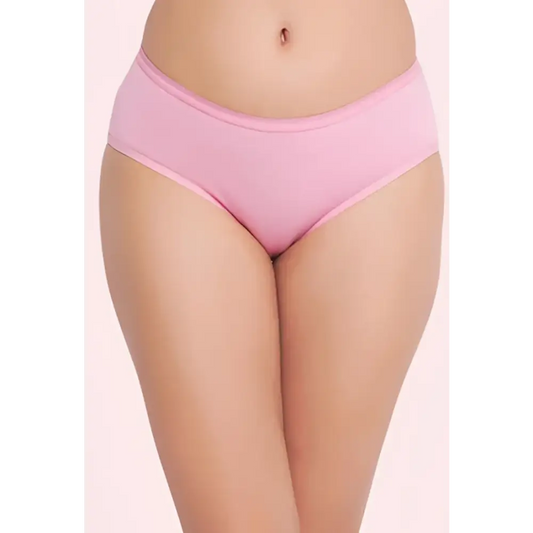 48 Pack of Womens Panties in Wholesale