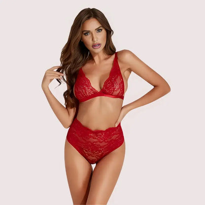 Sexy” stretch lace sexy bra set Snazzyway