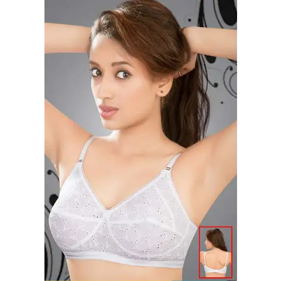 Everyday Wear Chicken Work White Bra(Pack Of 2)